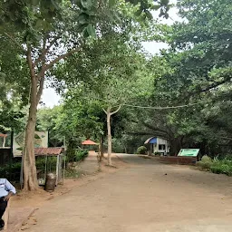 Beach Gate - Zoo Park