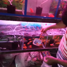 Beauty Aquarium Fish shop