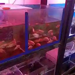 Beauty Aquarium Fish shop