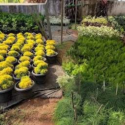 Bee Maa Season Garden - nursery in thrissur best nursery in thrissur out door plants in thrissur