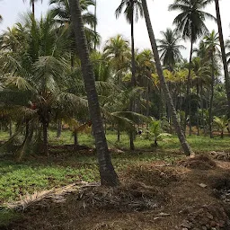 Beehive Commune Mysuru