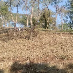 Behubar Tea Factory