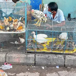 Belgachia Market