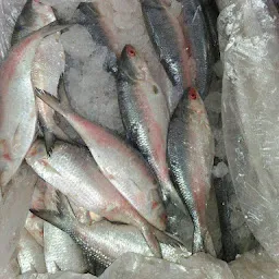 Bengal Fish shop