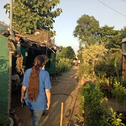 Bengal Nursery