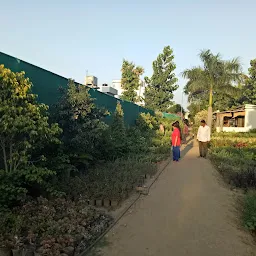 Bengal Nursery