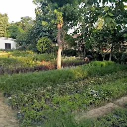 Bengal Nursery