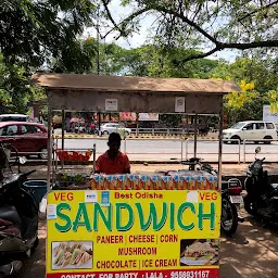 Best Odisha Sandwich