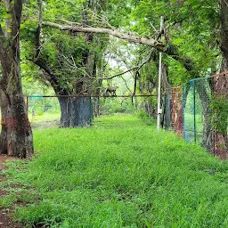 भारत रत्न श्रद्धेय अटल बिहारी वाजपेयी अनुभूति उद्यान Atal Park
