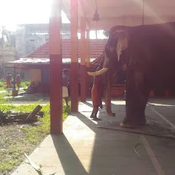 Sree Bhadra Devi Temple