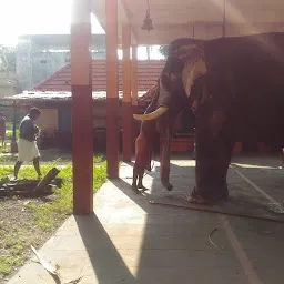 Sree Bhadra Devi Temple