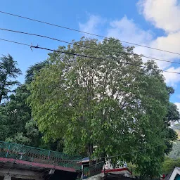 Bhagsu Naag Temple