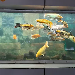 Bhagwan Birsa Aquarium park