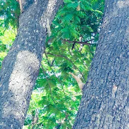 BHAGWANDEEN Nagar Public Park