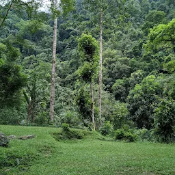 Bhanu Park