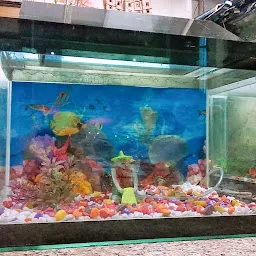 Bharat aquarium