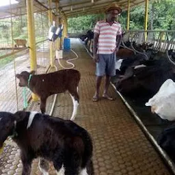 Bharat Dairy Farm