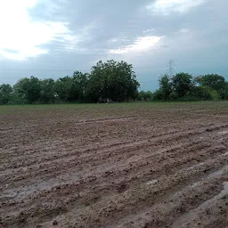 bhathiji mandir