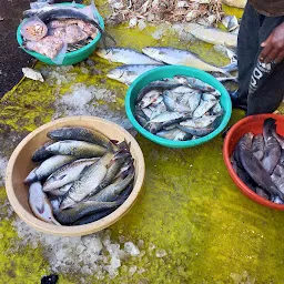 Bhatiyaara Fish Market