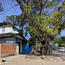 Bhawani Timber Store