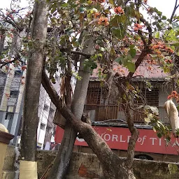 Bhawanipore Congregational Church Diocese of Calcutta (CNI)