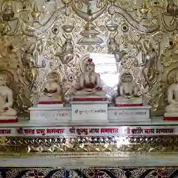 Bheru Bagh Parshvnath Jain Shvetamber Teerth