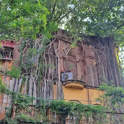 ভগিনী নিবেদিতার মূর্তি # Statue of Sister Nibedita