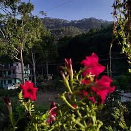 Bhimtal Inn Hotel ,Homestay