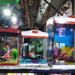 Bhopal Aquarium And Pet Shop