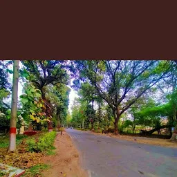 Institute of Agricultural Sciences, BHU