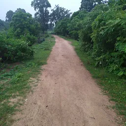 Bhuliatikra Horticulture Park