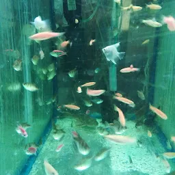 Big -M Aquarium