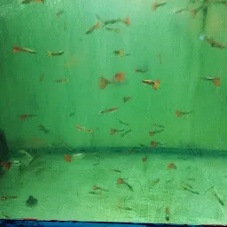Big -M Aquarium