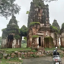 बीस दुवरिया मंदिर