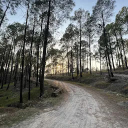 Binsar Jungle House