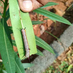 Biodiversity Park -Botanical Garden