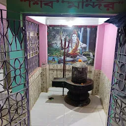 বিপদ নাশিনী মন্দির ( Bipadnashini Mandir)