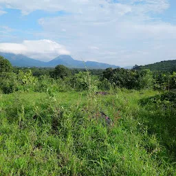 Bird Sanctuary Bhal