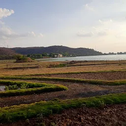 Bird sanctuary park and flower Garden