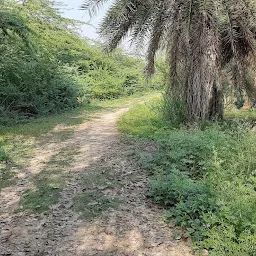 Bird sanctuary road