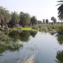 Bird sanctuary road