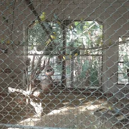 Bird section Jaipur Zoo