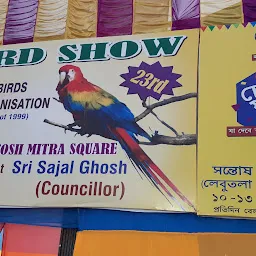 Bird show