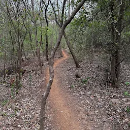 Bird Watching & Photography Area - Green Valley Park