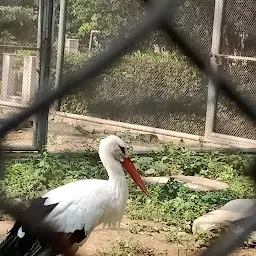 Birdhouse Lucknow Zoo