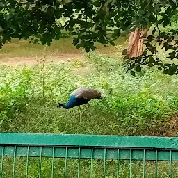 Birdhouse Lucknow Zoo