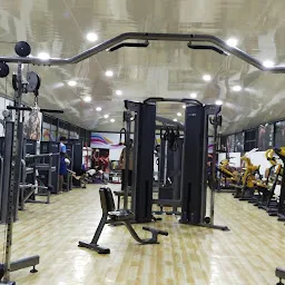 Bison cheap fitness equipment