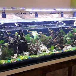 Biswanath Aquarium