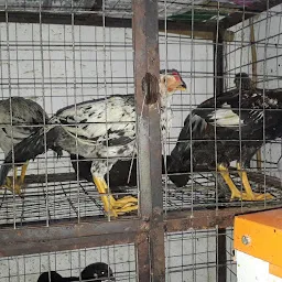 Biswanath Chicken Centre