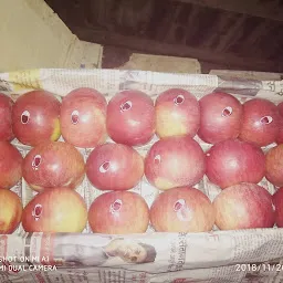 BKN Fruits